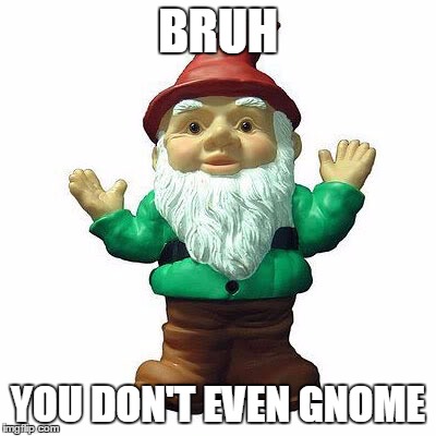 bruh. really? | BRUH; YOU DON'T EVEN GNOME | image tagged in gnome,bruh | made w/ Imgflip meme maker