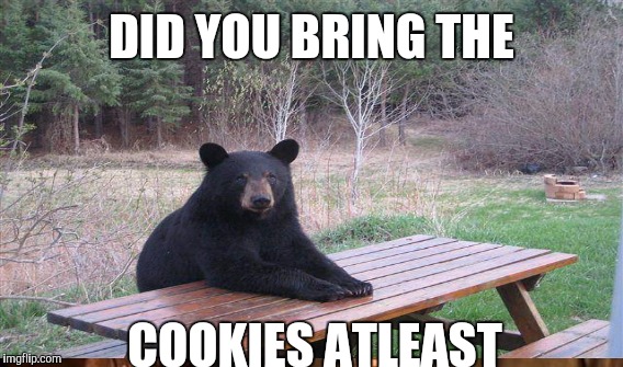 DID YOU BRING THE COOKIES ATLEAST | made w/ Imgflip meme maker