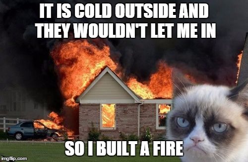 Burn Kitty | IT IS COLD OUTSIDE AND THEY WOULDN'T LET ME IN; SO I BUILT A FIRE | image tagged in memes,burn kitty | made w/ Imgflip meme maker