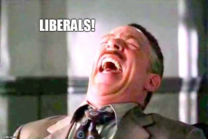 Some of the absurd gibberish they come up with. Really. | LIBERALS! | image tagged in memes | made w/ Imgflip meme maker
