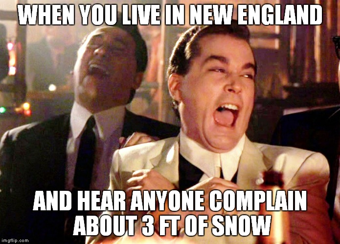 Good Fellas Hilarious | WHEN YOU LIVE IN NEW ENGLAND; AND HEAR ANYONE COMPLAIN ABOUT 3 FT OF SNOW | image tagged in memes,good fellas hilarious | made w/ Imgflip meme maker