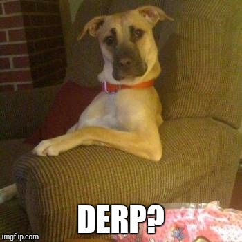 DERP? | made w/ Imgflip meme maker