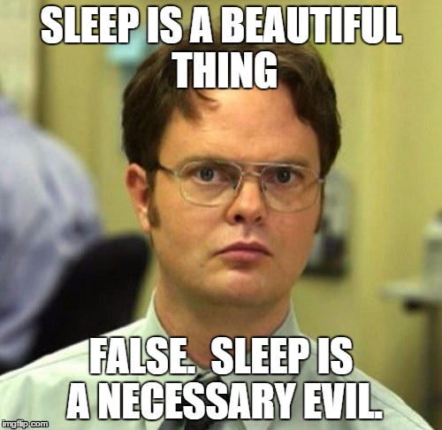 It's just a waste of time |  SLEEP IS A BEAUTIFUL THING; FALSE.  SLEEP IS A NECESSARY EVIL. | image tagged in false,sleep | made w/ Imgflip meme maker