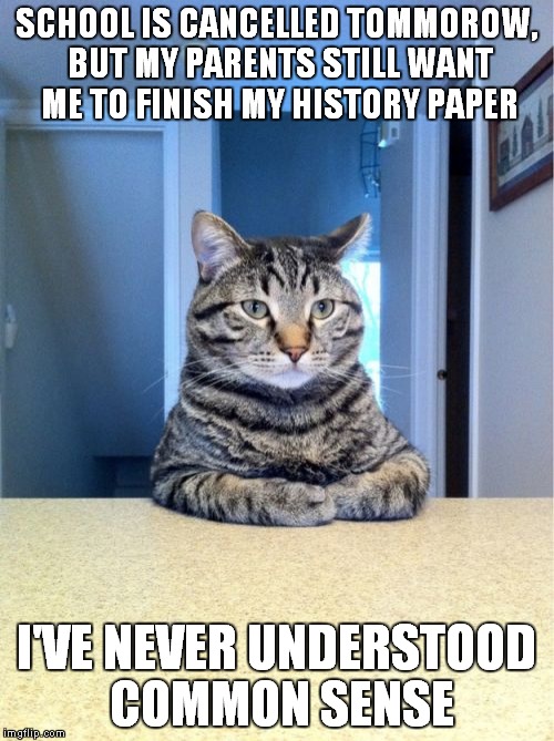 Take A Seat Cat Meme | SCHOOL IS CANCELLED TOMMOROW, BUT MY PARENTS STILL WANT ME TO FINISH MY HISTORY PAPER; I'VE NEVER UNDERSTOOD COMMON SENSE | image tagged in memes,take a seat cat | made w/ Imgflip meme maker