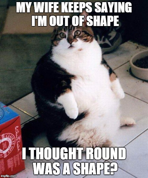 fat cat | MY WIFE KEEPS SAYING I'M OUT OF SHAPE; I THOUGHT ROUND WAS A SHAPE? | image tagged in fat cat | made w/ Imgflip meme maker