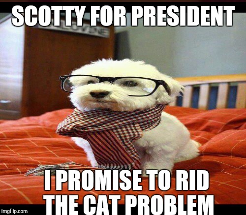SCOTTY FOR PRESIDENT I PROMISE TO RID THE CAT PROBLEM | made w/ Imgflip meme maker