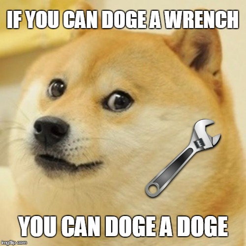 Doge Meme | IF YOU CAN DOGE A WRENCH YOU CAN DOGE A DOGE | image tagged in memes,doge | made w/ Imgflip meme maker