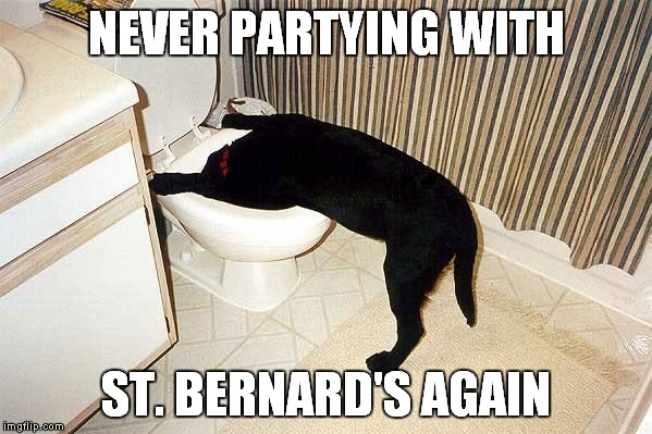 NEVER PARTYING WITH ST. BERNARD'S AGAIN | made w/ Imgflip meme maker