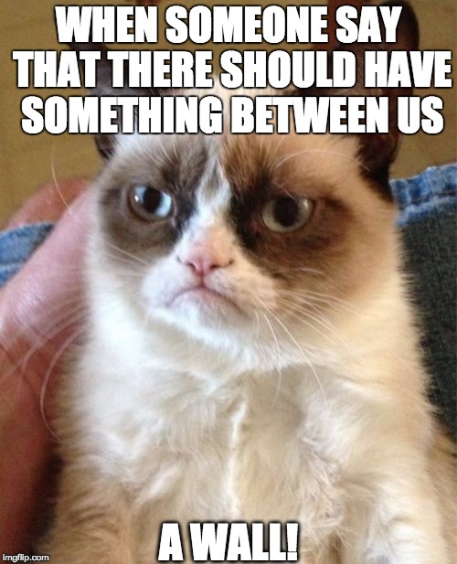 Grumpy Cat | WHEN SOMEONE SAY THAT THERE SHOULD HAVE SOMETHING BETWEEN US; A WALL! | image tagged in memes,grumpy cat | made w/ Imgflip meme maker