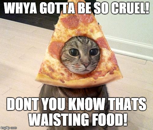 pizza cat | WHYA GOTTA BE SO CRUEL! DONT YOU KNOW THATS WAISTING FOOD! | image tagged in pizza cat | made w/ Imgflip meme maker