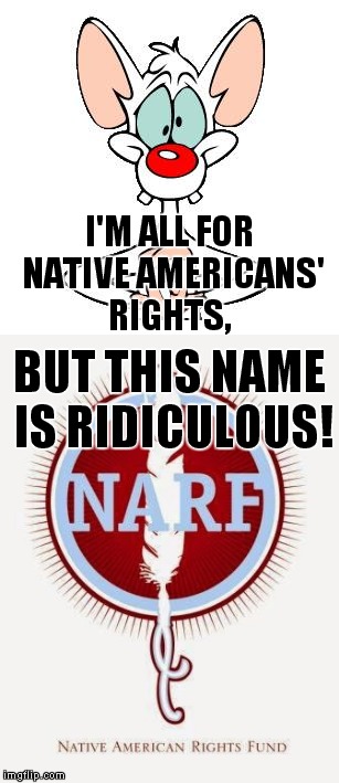 Egad, Brain, they stole my catchphrase! | I'M ALL FOR NATIVE AMERICANS' RIGHTS, BUT THIS NAME IS RIDICULOUS! | image tagged in meme,pinky,narf | made w/ Imgflip meme maker