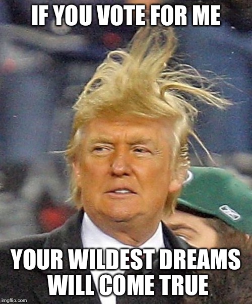 Donald Trumph hair | IF YOU VOTE FOR ME; YOUR WILDEST DREAMS WILL COME TRUE | image tagged in donald trumph hair | made w/ Imgflip meme maker