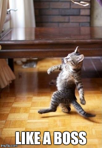 Cool Cat Stroll Meme | LIKE A BOSS | image tagged in memes,cool cat stroll | made w/ Imgflip meme maker
