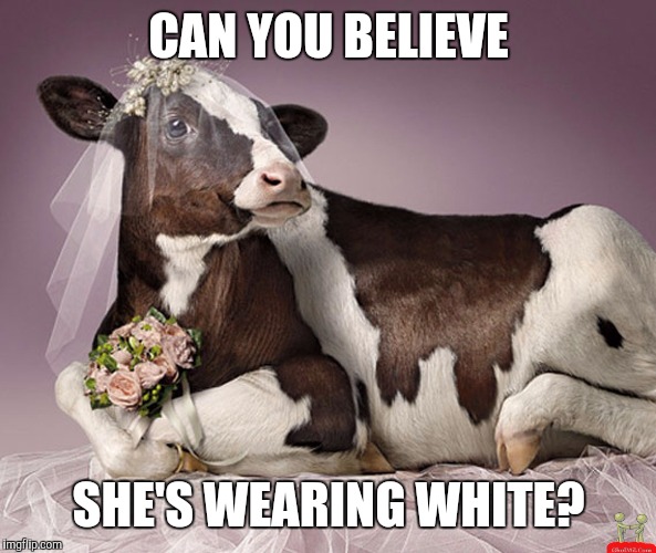 CAN YOU BELIEVE SHE'S WEARING WHITE? | made w/ Imgflip meme maker