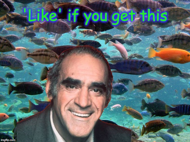 Tribute to Abe Vigoda | 'Like' if you get this | image tagged in abe vigoda tribute | made w/ Imgflip meme maker