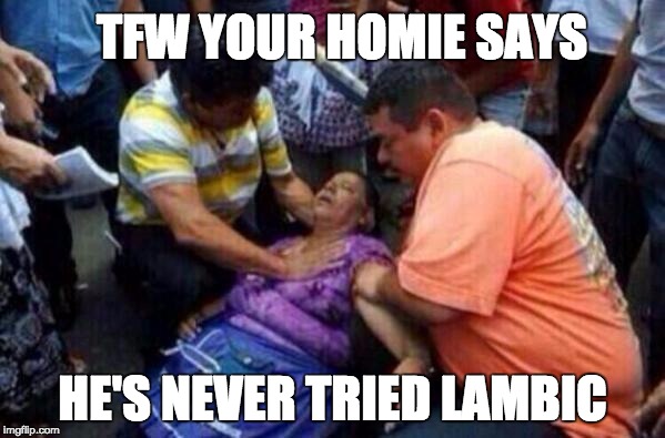 TFW YOUR HOMIE SAYS; HE'S NEVER TRIED LAMBIC | made w/ Imgflip meme maker
