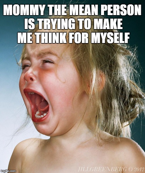 MOMMY THE MEAN PERSON IS TRYING TO MAKE ME THINK FOR MYSELF | image tagged in he called me names | made w/ Imgflip meme maker