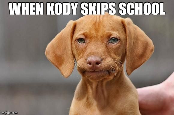unamused dog | WHEN KODY SKIPS SCHOOL | image tagged in unamused dog | made w/ Imgflip meme maker