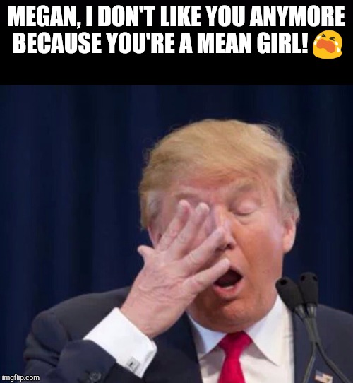 MEGAN, I DON'T LIKE YOU ANYMORE BECAUSE YOU'RE A MEAN GIRL! 😭 | image tagged in donald trump | made w/ Imgflip meme maker