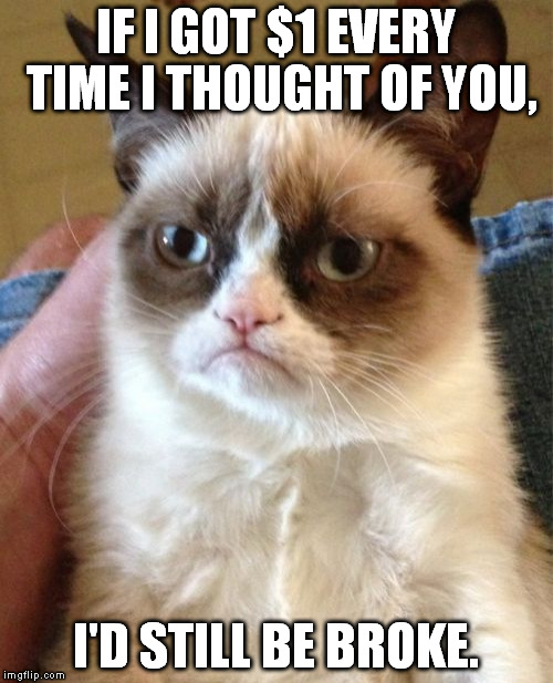 Grumpy Cat | IF I GOT $1 EVERY TIME I THOUGHT OF YOU, I'D STILL BE BROKE. | image tagged in memes,grumpy cat | made w/ Imgflip meme maker
