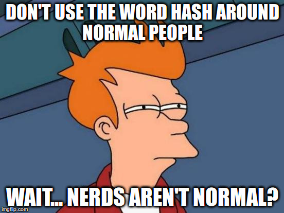 Futurama Fry Meme | DON'T USE THE WORD HASH
AROUND NORMAL
PEOPLE; WAIT... NERDS AREN'T NORMAL? | image tagged in memes,futurama fry | made w/ Imgflip meme maker