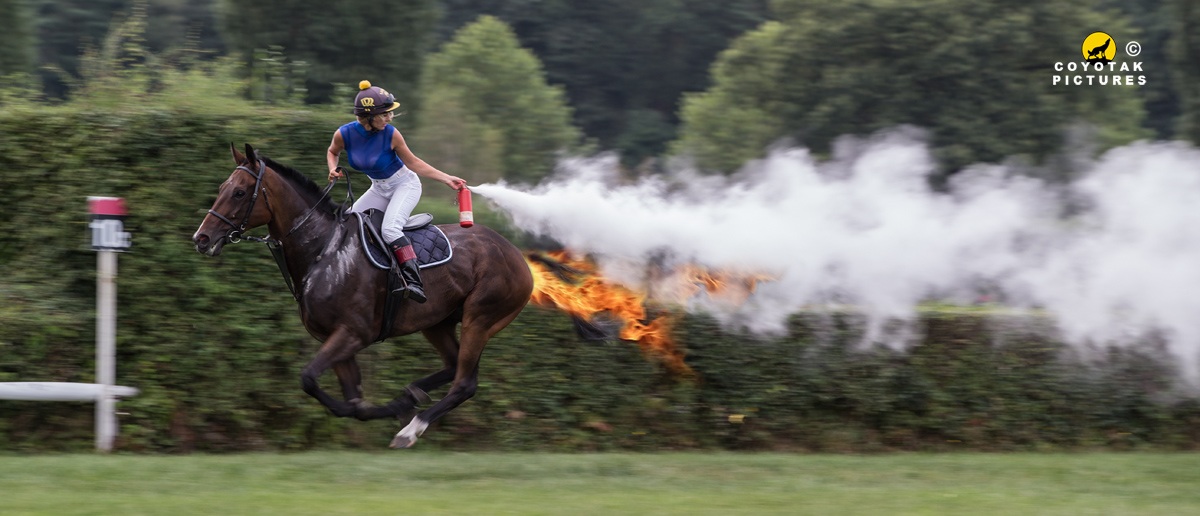 horse on fire Blank Meme Template