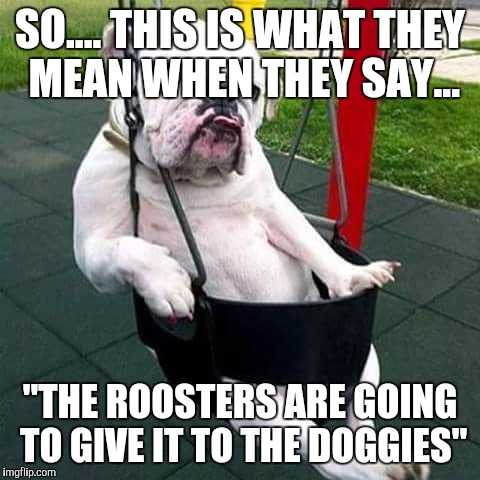 bulldog thug |  SO.... THIS IS WHAT THEY MEAN WHEN THEY SAY... "THE ROOSTERS ARE GOING TO GIVE IT TO THE DOGGIES" | image tagged in bulldog thug | made w/ Imgflip meme maker