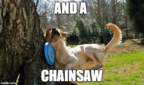 dog frisbee tree | AND A CHAINSAW | image tagged in dog frisbee tree | made w/ Imgflip meme maker