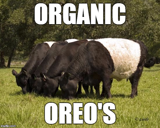 oreo cattle | ORGANIC OREO'S | image tagged in oreo cattle | made w/ Imgflip meme maker