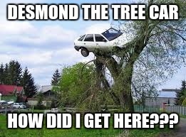 DESMOND THE TREE CAR; HOW DID I GET HERE??? | image tagged in sdfgh | made w/ Imgflip meme maker