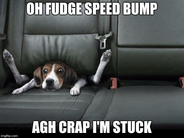 funny dog back seat | OH FUDGE SPEED BUMP; AGH CRAP I'M STUCK | image tagged in funny dog back seat,memes | made w/ Imgflip meme maker