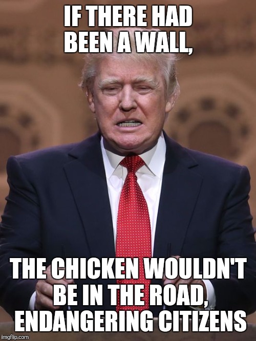 IF THERE HAD BEEN A WALL, THE CHICKEN WOULDN'T BE IN THE ROAD, ENDANGERING CITIZENS | made w/ Imgflip meme maker