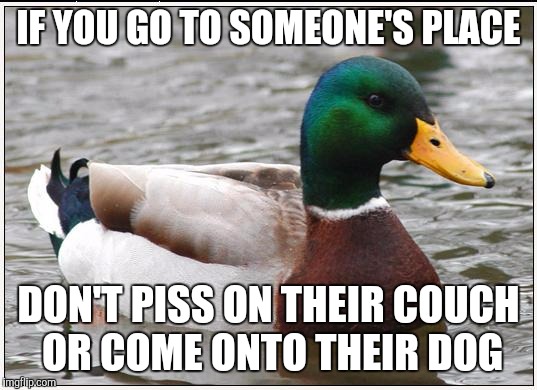 Actual Advice Mallard | IF YOU GO TO SOMEONE'S PLACE; DON'T PISS ON THEIR COUCH OR COME ONTO THEIR DOG | image tagged in memes,actual advice mallard | made w/ Imgflip meme maker