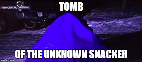 tarp man | TOMB; OF THE UNKNOWN SNACKER | image tagged in tarp man | made w/ Imgflip meme maker