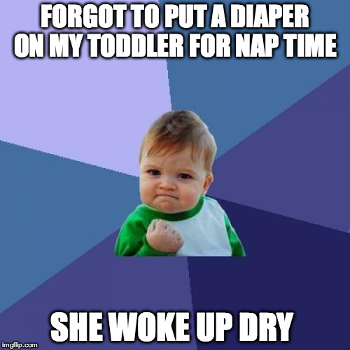 Success Kid Meme | FORGOT TO PUT A DIAPER ON MY TODDLER FOR NAP TIME; SHE WOKE UP DRY | image tagged in memes,success kid,TrollXMoms | made w/ Imgflip meme maker