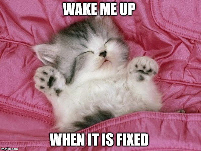 cute kitten sleeping  | WAKE ME UP WHEN IT IS FIXED | image tagged in cute kitten sleeping | made w/ Imgflip meme maker