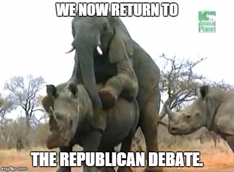 Elephant Rapes Rhino | WE NOW RETURN TO; THE REPUBLICAN DEBATE. | image tagged in elephant rapes rhino | made w/ Imgflip meme maker