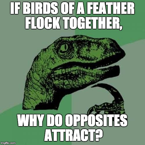 Philosoraptor Meme | IF BIRDS OF A FEATHER FLOCK TOGETHER, WHY DO OPPOSITES ATTRACT? | image tagged in memes,philosoraptor | made w/ Imgflip meme maker