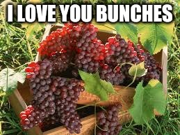 I LOVE YOU BUNCHES | image tagged in grapes | made w/ Imgflip meme maker
