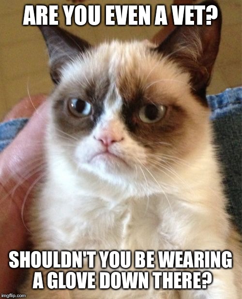 Grumpy Cat Meme | ARE YOU EVEN A VET? SHOULDN'T YOU BE WEARING A GLOVE DOWN THERE? | image tagged in memes,grumpy cat | made w/ Imgflip meme maker