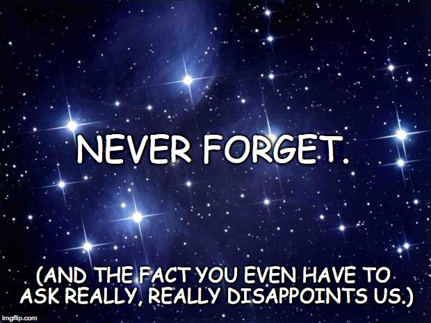 stars | NEVER FORGET. (AND THE FACT YOU EVEN HAVE TO ASK REALLY, REALLY DISAPPOINTS US.) | image tagged in stars | made w/ Imgflip meme maker