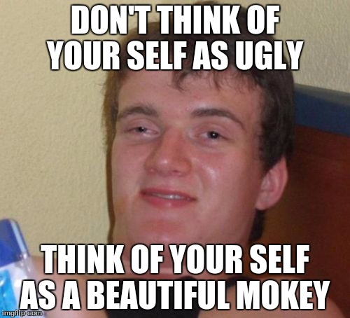 10 Guy | DON'T THINK OF YOUR SELF AS UGLY; THINK OF YOUR SELF AS A BEAUTIFUL MOKEY | image tagged in memes,10 guy | made w/ Imgflip meme maker
