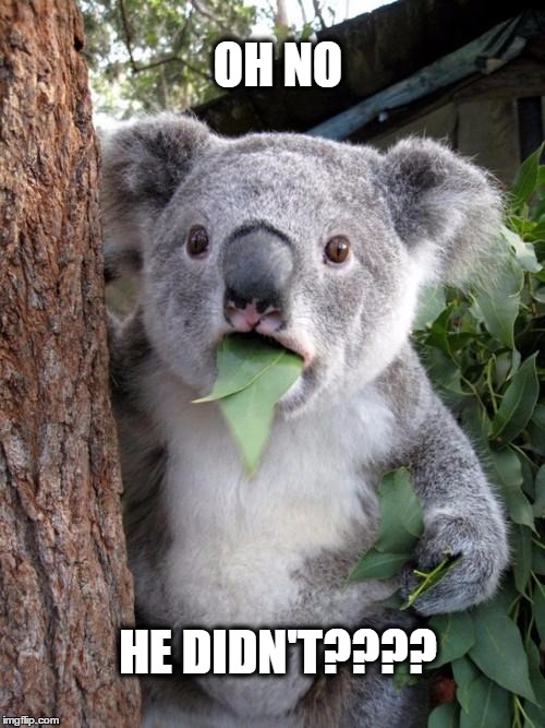 Surprised Koala Meme | OH NO; HE DIDN'T???? | image tagged in memes,surprised koala | made w/ Imgflip meme maker
