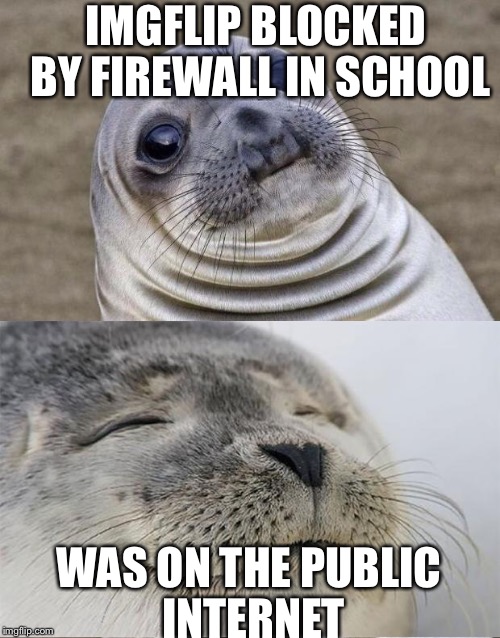 Thank goodness for student-only internet | IMGFLIP BLOCKED BY FIREWALL IN SCHOOL; WAS ON THE PUBLIC INTERNET | image tagged in awkward moment sealion,satisfied seal,thank god | made w/ Imgflip meme maker
