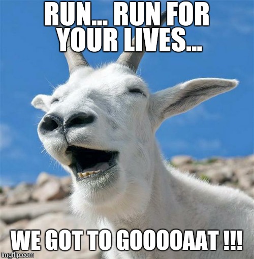 Laughing Goat Meme | RUN... RUN FOR YOUR LIVES... WE GOT TO GOOOOAAT !!! | image tagged in memes,laughing goat | made w/ Imgflip meme maker