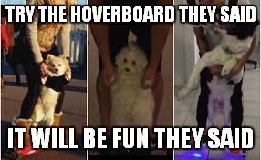 TRY THE HOVERBOARD THEY SAID IT WILL BE FUN THEY SAID | made w/ Imgflip meme maker