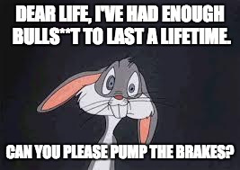 Bugs Bunny Huh? | DEAR LIFE, I'VE HAD ENOUGH BULLS**T TO LAST A LIFETIME. CAN YOU PLEASE PUMP THE BRAKES? | image tagged in bugs bunny huh | made w/ Imgflip meme maker