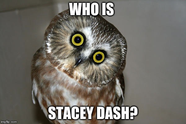 WHO IS; STACEY DASH? | image tagged in mrowl | made w/ Imgflip meme maker