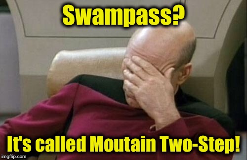 Captain Picard Facepalm Meme | Swampass? It's called Moutain Two-Step! | image tagged in memes,captain picard facepalm | made w/ Imgflip meme maker