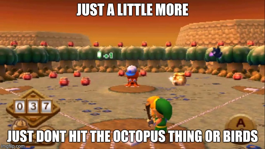 JUST A LITTLE MORE; JUST DONT HIT THE OCTOPUS THING OR BIRDS | image tagged in just a little more,the legend of zelda | made w/ Imgflip meme maker